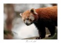 DSCF0327
