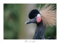 DSCF0467
